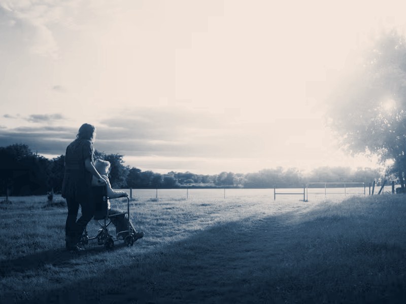 Vrouw duwt een oudere in een rolstoel door een weiland bij zonsondergang, beeld bij de megatrend vergrijzing